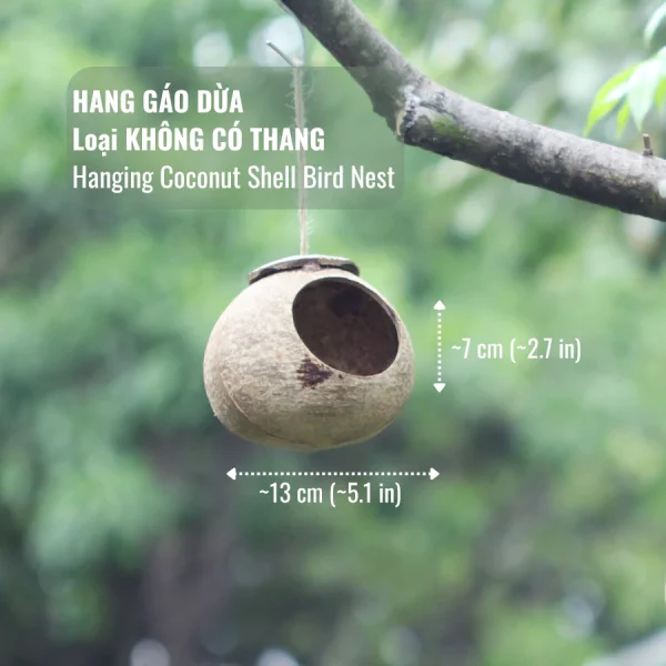 Hang Gáo Dừa Có Lót Xơ Dừa Nuôi Chim, Vẹt, Sóc Bay,...