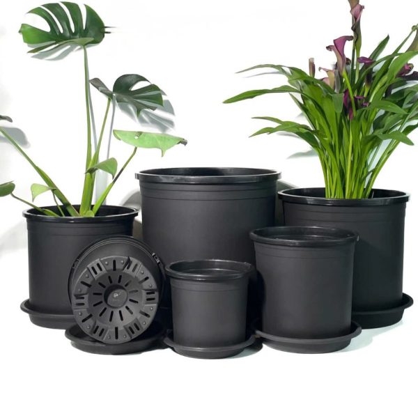 Chậu nhựa trồng cây tròn đen